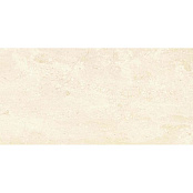 PAMESA CERAMICA DANTE MARFIL 25x50