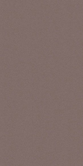 CERDISA EC1/22 / ECC BERRY NATURAL RETT 60X120