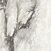 REX ETOILE RENOER MATTE 80X80X1