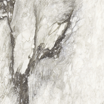 REX ETOILE RENOER MATTE 80X80X1