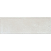 SALONI BORDER CENIZA EKA713 20x60