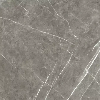 ALMERA CERAMICA COLUMBIA GRIS MT 100Х100