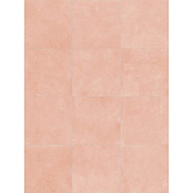 TERRATINTA SARTORIA POP ROSA ANTICO FLAT GL SAPOFL0410G 10Х10