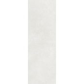 PARADYZ COLD PRINCESS GREY RECT. 39,8X119,8