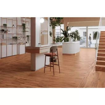 EXAGRES BASE LIZANA CEREZO C-1 20X120