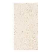 CASALGRANDE PADANA TERRAZZOTECH TECH BEIGE LEVIGATA 60X120X0,94