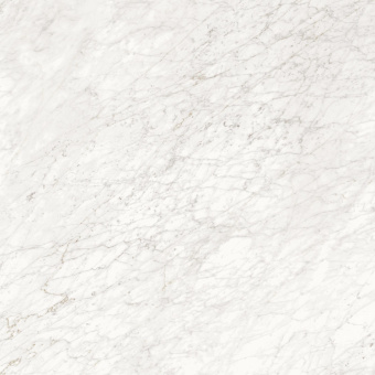 PIEMME VALENTINO MAJESTIC APUANIAN WHITE LEV/RET 119,5X119,5