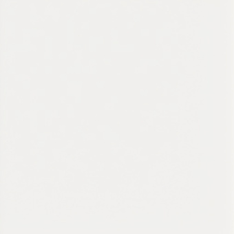 TERRATINTA MICRO WAYS FLAT WHITE MIWAF0112 12,5X12,5