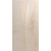 KUTAHYA OPAL BONE RT POLISH N 60X120