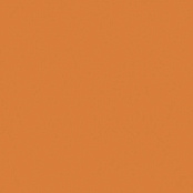 PARADYZ INWESTA GAMMA POMARACCZOWA SCIANA MAT 19,8X19,8