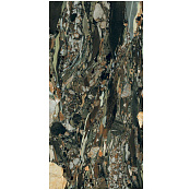 REX LES BIJOUX QUATRE SAISONS R GLO 765787 60X120X0,6