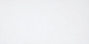 LASSELSBERGER RAKO CLAY WHITE 29,8X59,8