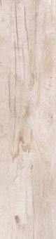 ABK DOLPHIN MILK 40X170