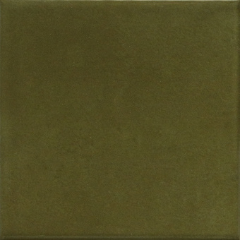 TERRATINTA SARTORIA POP MUSCHIO FLAT GL SAPOFL0710G 10Х10