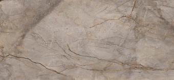 APAVISA WILD FOREST GREY POLISHED 119,3x260