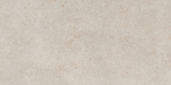 FANAL GALA TAUPE REC 60Х120