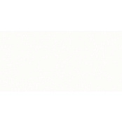 PARADYZ ESTEN BIANCO RECT 29,5X59,5