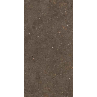 FIANDRE SOLIDA BROWN GAB600N126009 60X120X0,9