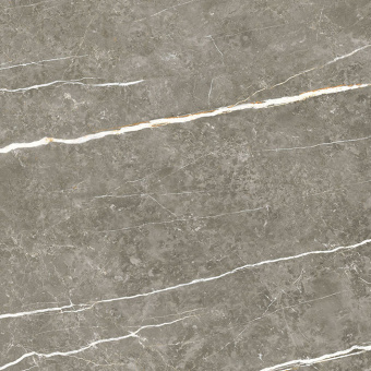 TAU CERAMICA ELITE GRAPHITE PUL 60x60x0,9