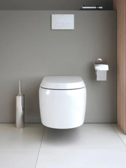 ПОДВЕСНОЙ БЕЗОБОДКОВЫЙ УНИТАЗ DURAVIT QATEGO, БЕЛЫЙ (2556092000)
