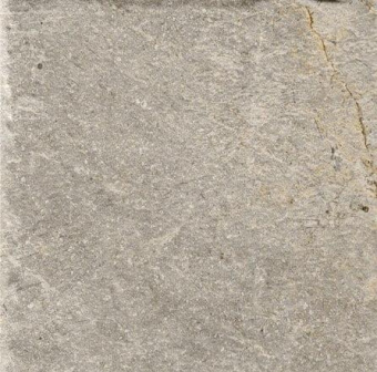 SERENISSIMA MAGISTRA FIOR DI BOSCO LUX RET 60X60