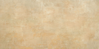 NAXOS PICTURA CANOSA SOFT RET 60X120