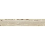 RAGNO WOODTALE BETULLA RETT R4TM 20x120