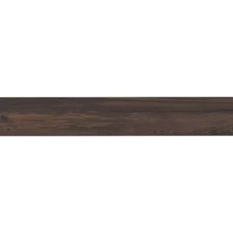 EXAGRES BASE LIZANA NOGAL C-1 20X120