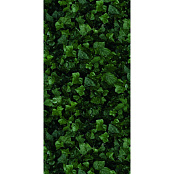 41ZERO42 PAPER41 PRO JANE E 4100155 50X100X0,35