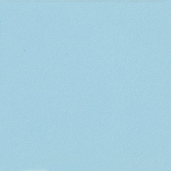 CASALGRANDE PADANA LANDSCAPE BAY FRICTION 12,5X25X0,8