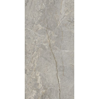 FIANDRE MARBLE LAB SILVER ROOT AF326X864 120X60X0,8