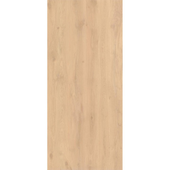 ATLAS CONCORD LOG BRIGHT OAK MATTE 6MM WOOD EFFECT AX28 120X278