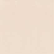PARADYZ NEVE CREATIVE BEIGE 19,8X19,8X0,65