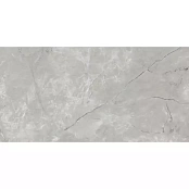 ALMERA CERAMICA-2 BRITISH GREY EXPO 60X120