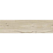 RAGNO WOODTALE BETULLA RETT R4TG 30x120