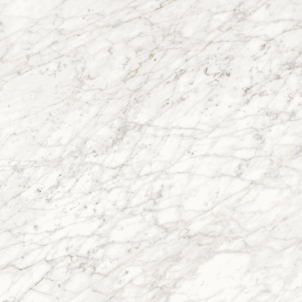 PIEMME VALENTINO MAJESTIC APUANIAN WHITE NAT/RET 60X60
