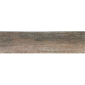 PAMESA CERAMICA BOSQUE MOKA 22x85