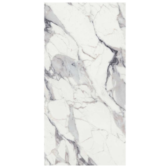 REX ORIGINES DE REX ARGENT GLOSSY RETT 769843 60X60X1