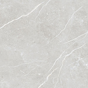 TAU CERAMICA ELITE SILVER PUL 60x60x0,9