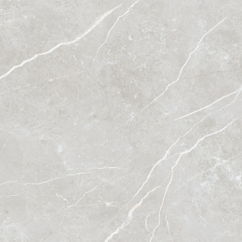 TAU CERAMICA ELITE SILVER PUL 60x60x0,9