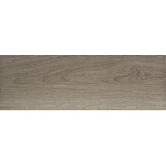 PAMESA CERAMICA FRONDA MUSGO 20x60