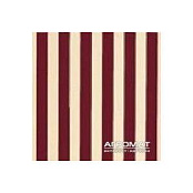 APE LORD LADY BURDEOS ARENA BRILLO ) 20x20